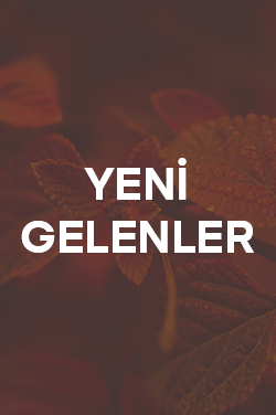 Yeni Gelenler